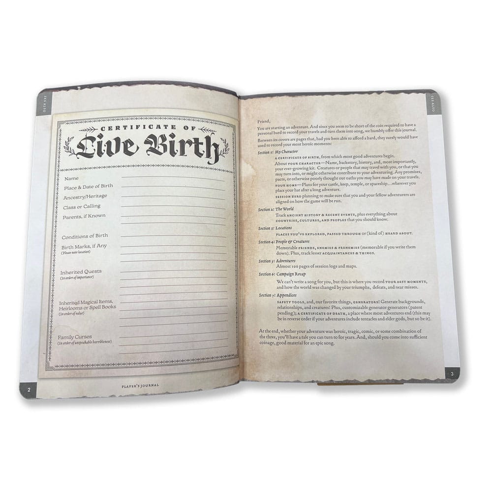 Notizbuch A5 Player's Journal Sage Green Shield