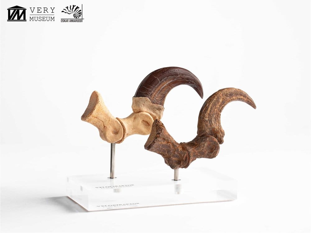 Jurassic Park ECC Elite Creature Line Statue Velociraptor Foot Claw and Fossil Claw Set 20 cm