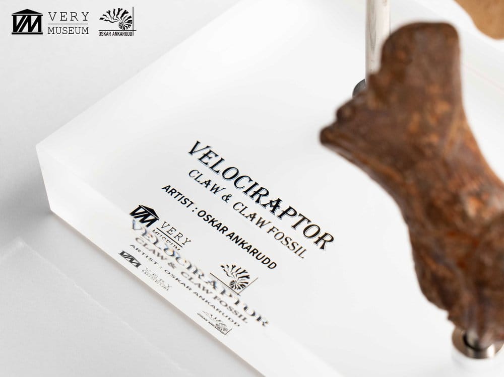 Jurassic Park ECC Elite Creature Line Statue Velociraptor Foot Claw and Fossil Claw Set 20 cm