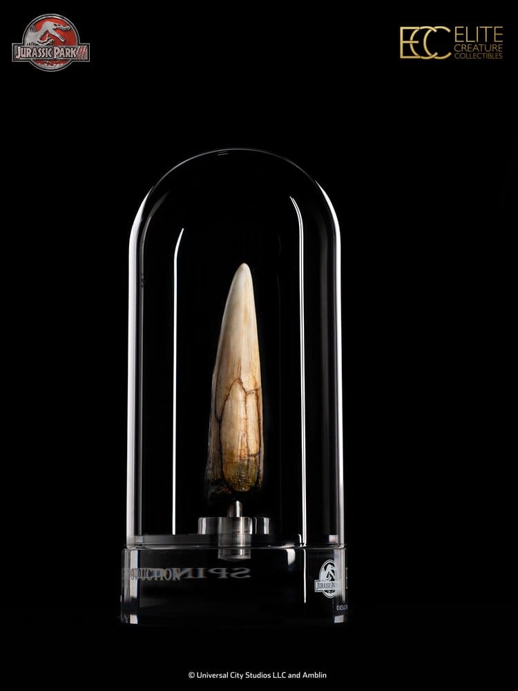 Jurassic Park III Prop Replik 1/1 Spinosaurus Zahn 14 cm