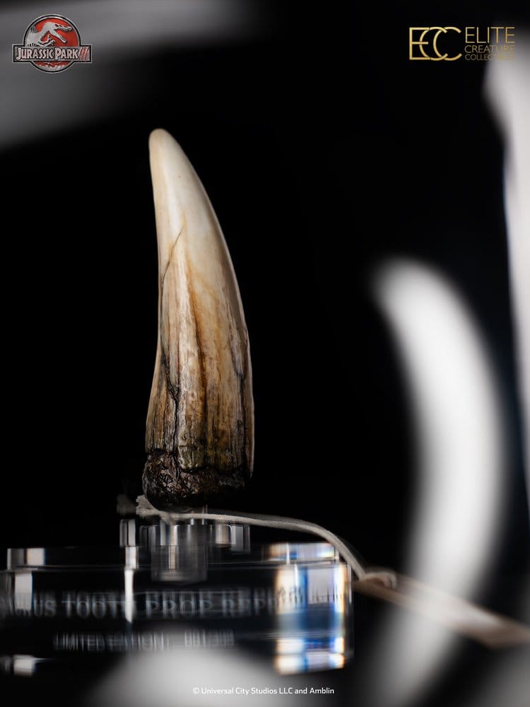 Jurassic Park III Prop Replik 1/1 Spinosaurus Zahn 14 cm