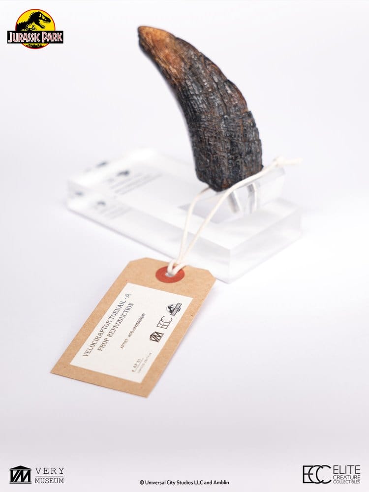 Jurassic Park 1/1 Replik Velociraptor Toenail Type A 11 cm