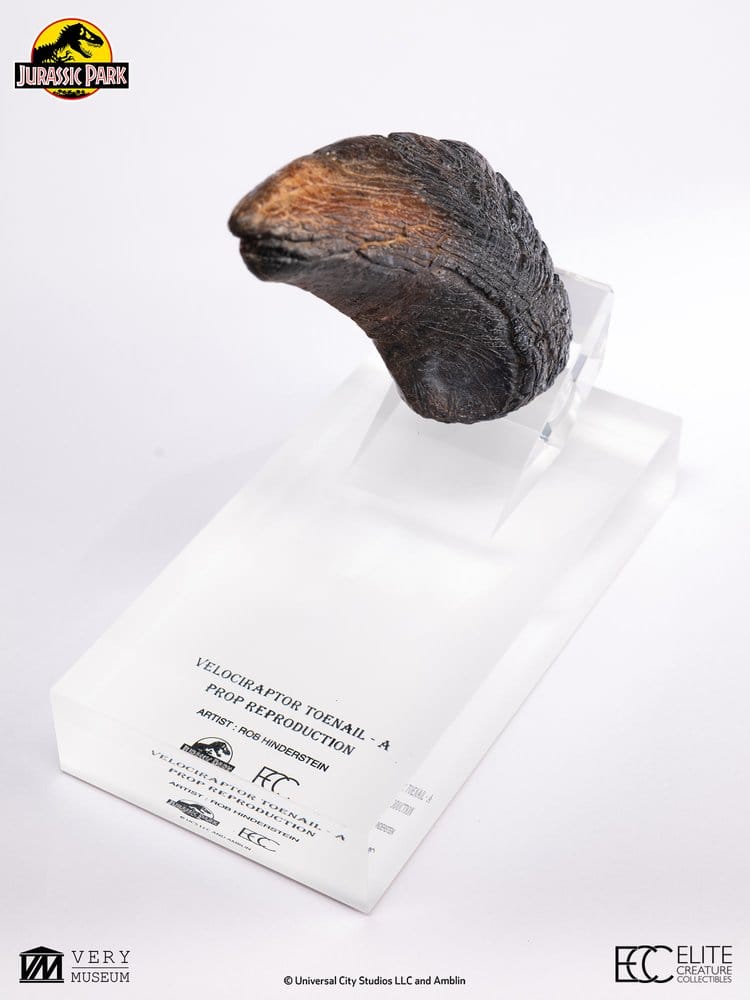 Jurassic Park 1/1 Replik Velociraptor Toenail Type A 11 cm