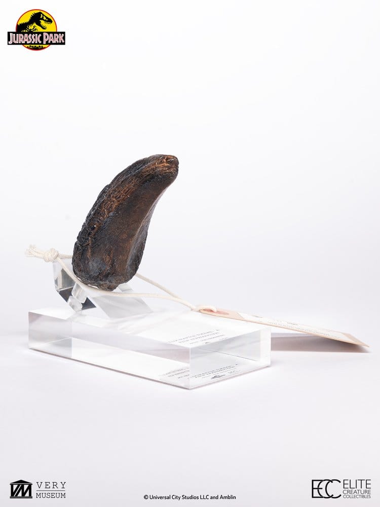 Jurassic Park 1/1 Replik Velociraptor Toenail Type A 11 cm