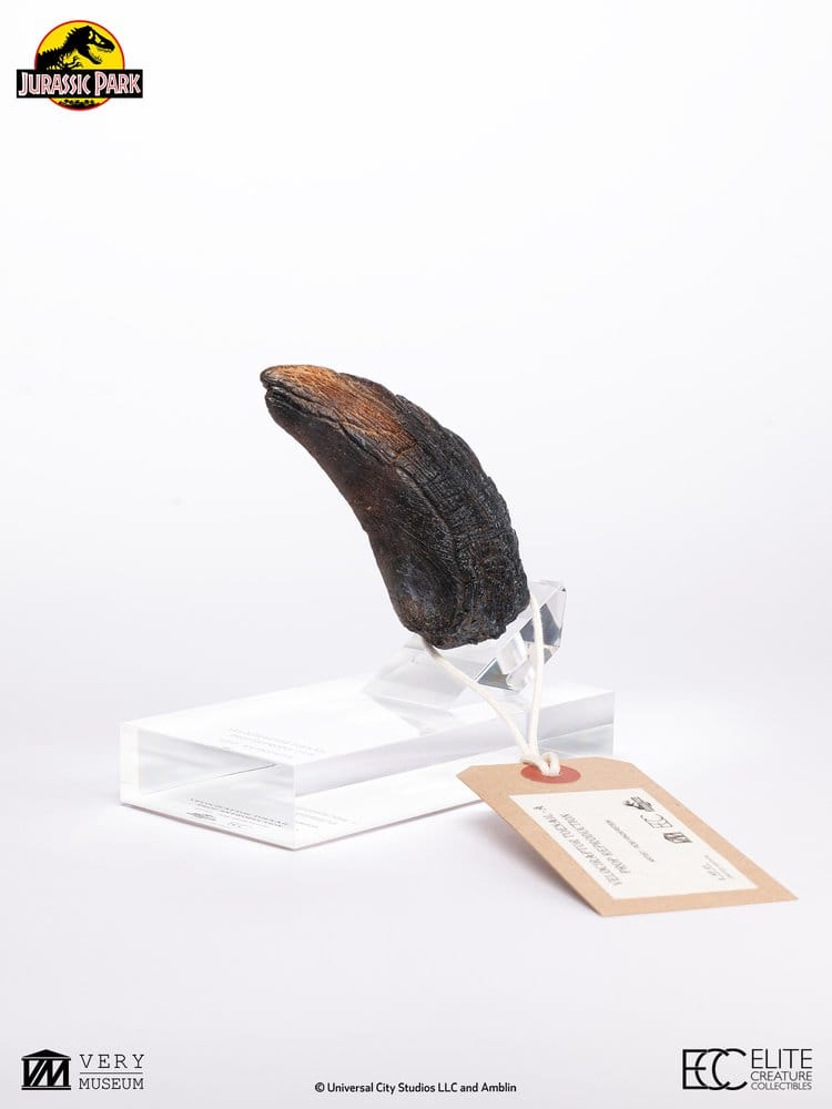 Jurassic Park 1/1 Replik Velociraptor Toenail Type A 11 cm