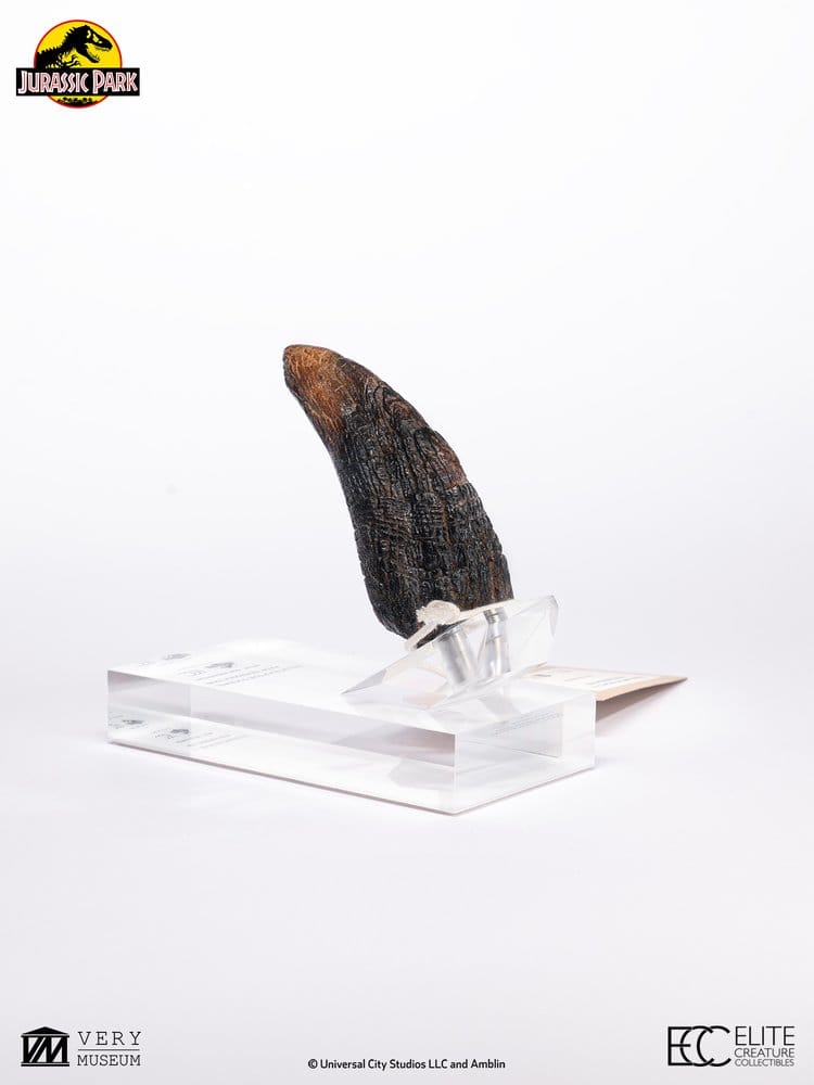 Jurassic Park 1/1 Replik Velociraptor Toenail Type A 11 cm
