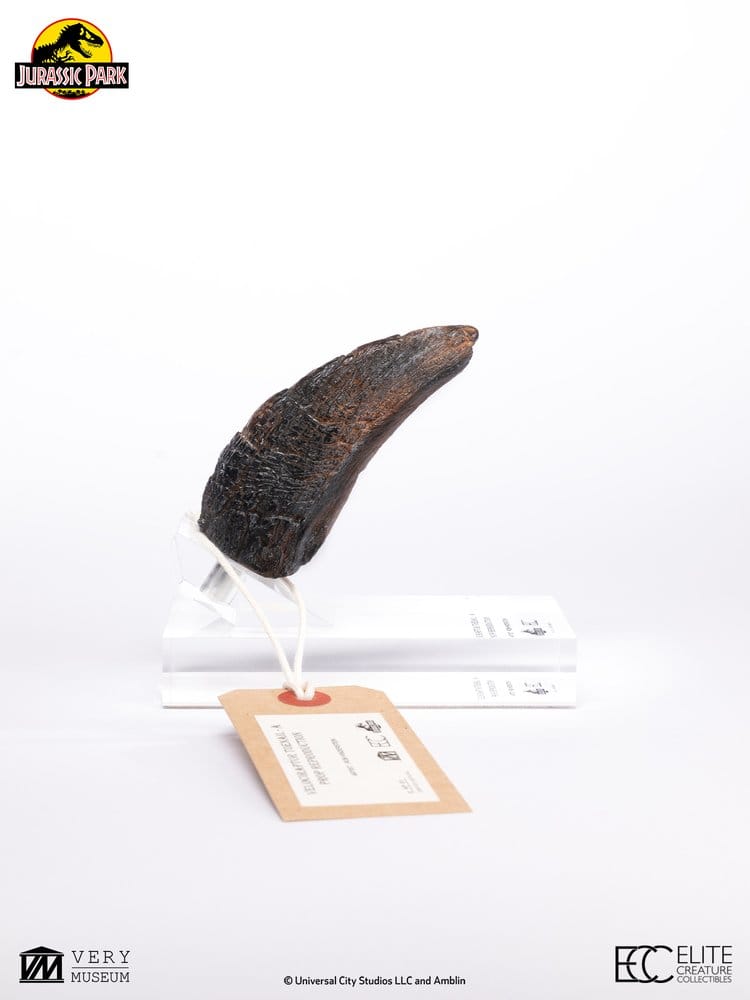 Jurassic Park 1/1 Replik Velociraptor Toenail Type A 11 cm