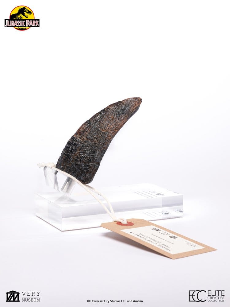 Jurassic Park 1/1 Replik Velociraptor Toenail Type A 11 cm