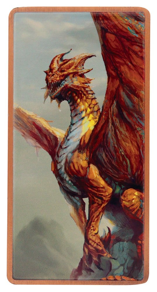 Dungeons & Dragons Magneten 5er-Set