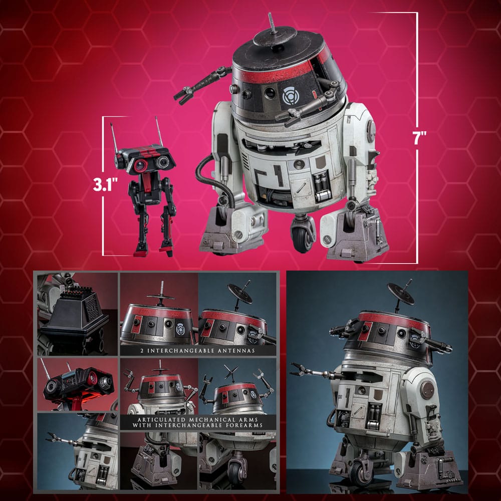 Star Wars Actionfigur Set 1/6 Chopper (C1-10P™) & BD-1™ (Imperial Disguise) 18 cm & 8 cm