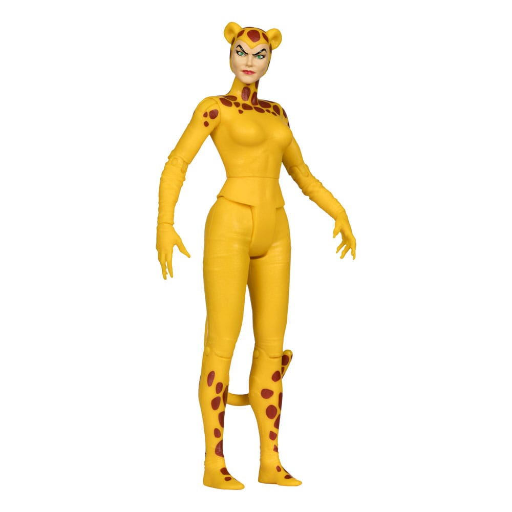 DC Retro Actionfiguren 15 cm Wave 13 Super Friends Sortiment (6)