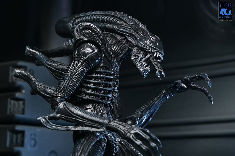 Aliens Ultimate Actionfigur Warrior (1986) Xenomorph Black (40th Anniversary) 23 cm