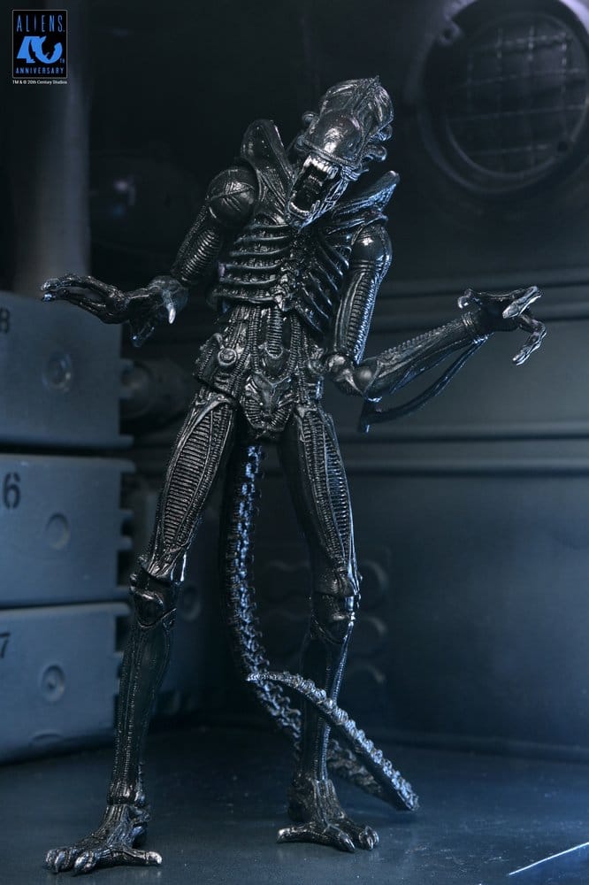 Aliens Ultimate Actionfigur Warrior (1986) Xenomorph Black (40th Anniversary) 23 cm
