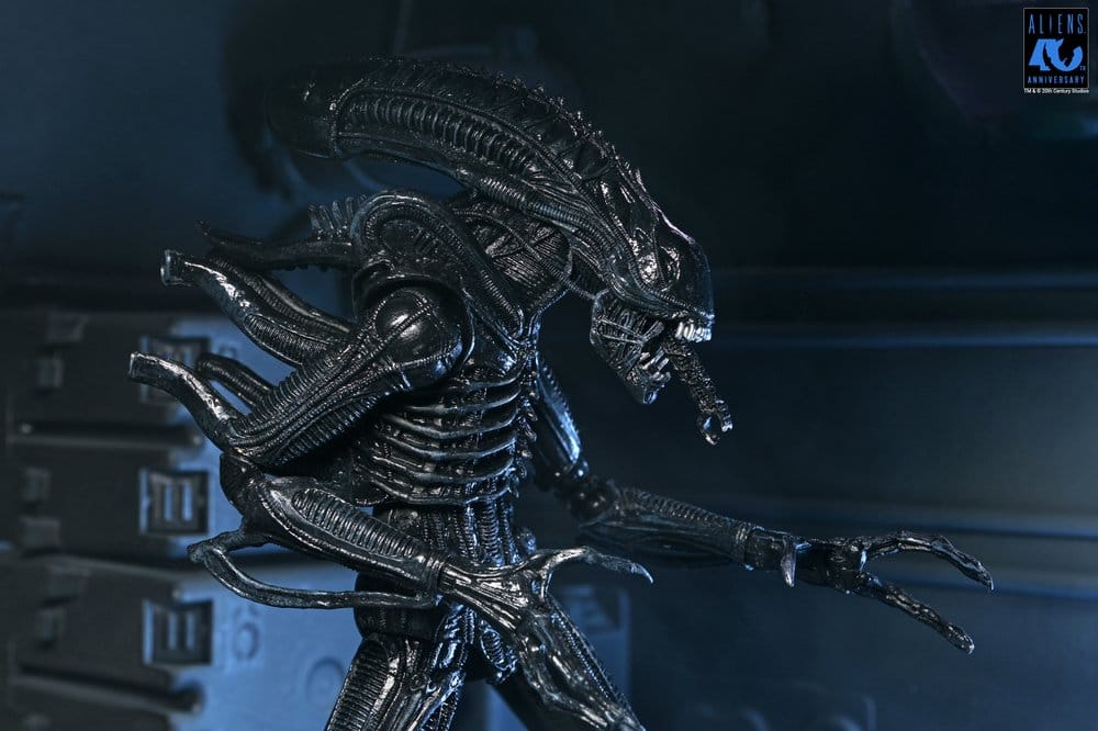 Aliens Ultimate Actionfigur Warrior (1986) Xenomorph Black (40th Anniversary) 23 cm