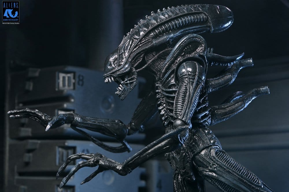 Aliens Ultimate Actionfigur Warrior (1986) Xenomorph Black (40th Anniversary) 23 cm