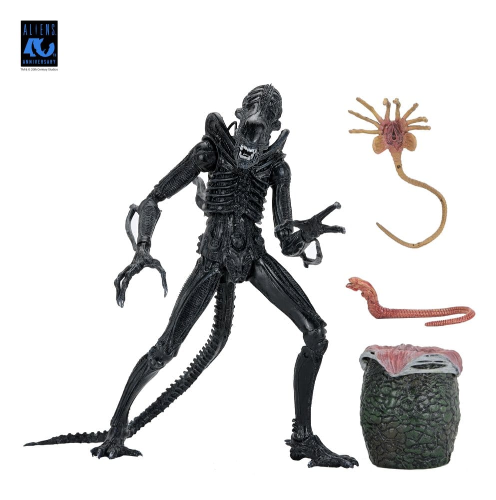 Aliens Ultimate Actionfigur Warrior (1986) Xenomorph Black (40th Anniversary) 23 cm