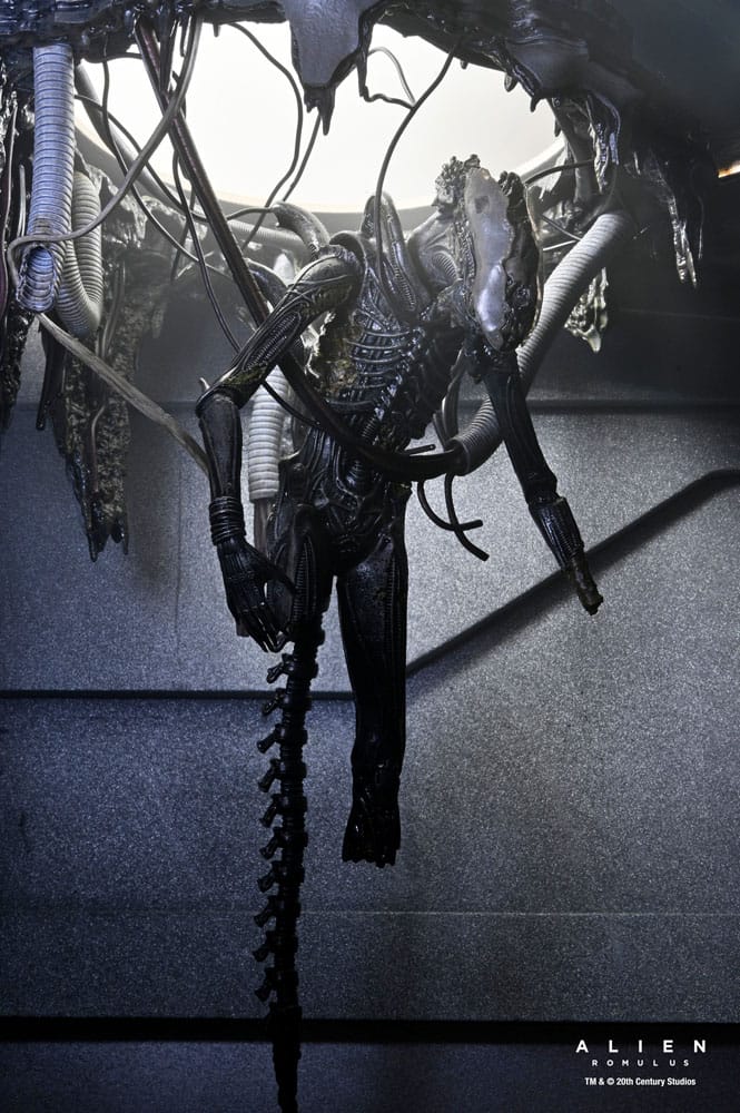 Alien: Romulus Actionfigur Deluxe Suspended Lab Xenomorph XX121 18 cm
