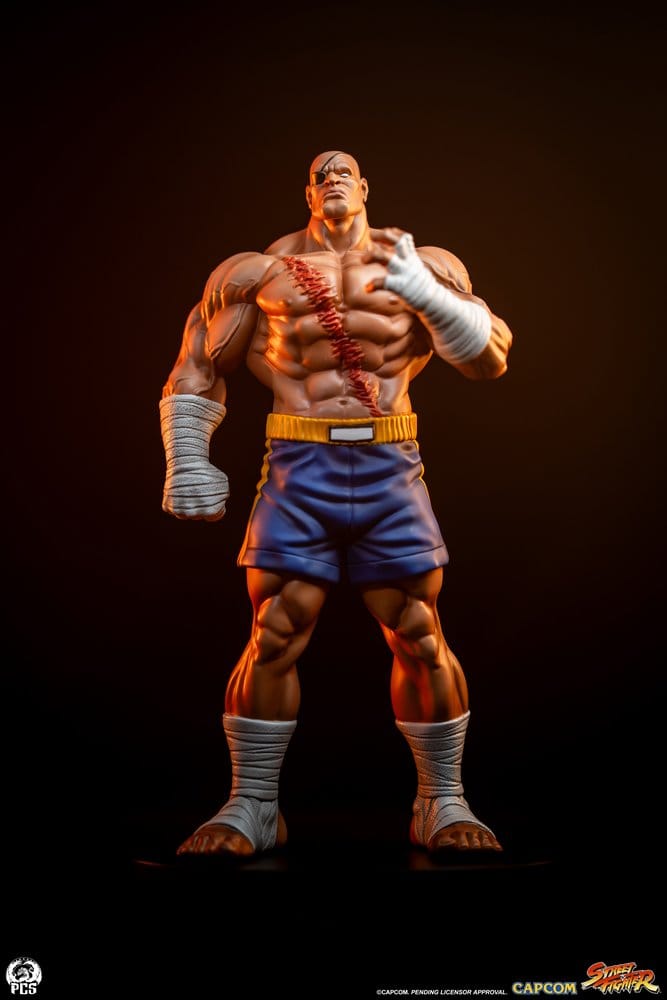 Street Fighter Street Jam Statuen 1/10 Sagat & Juli 24 cm