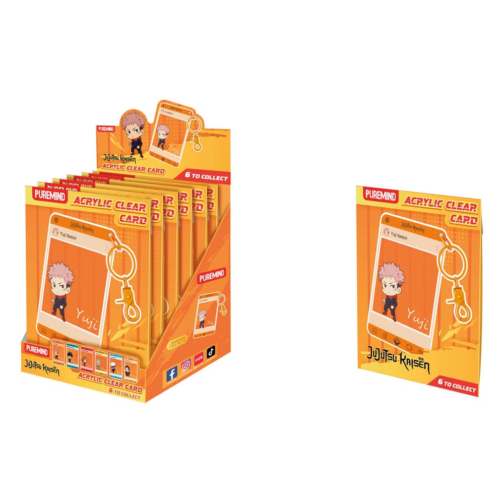 Jujutsu Kaisen Acryl Klarsichtkarte Blind Box Display (6)
