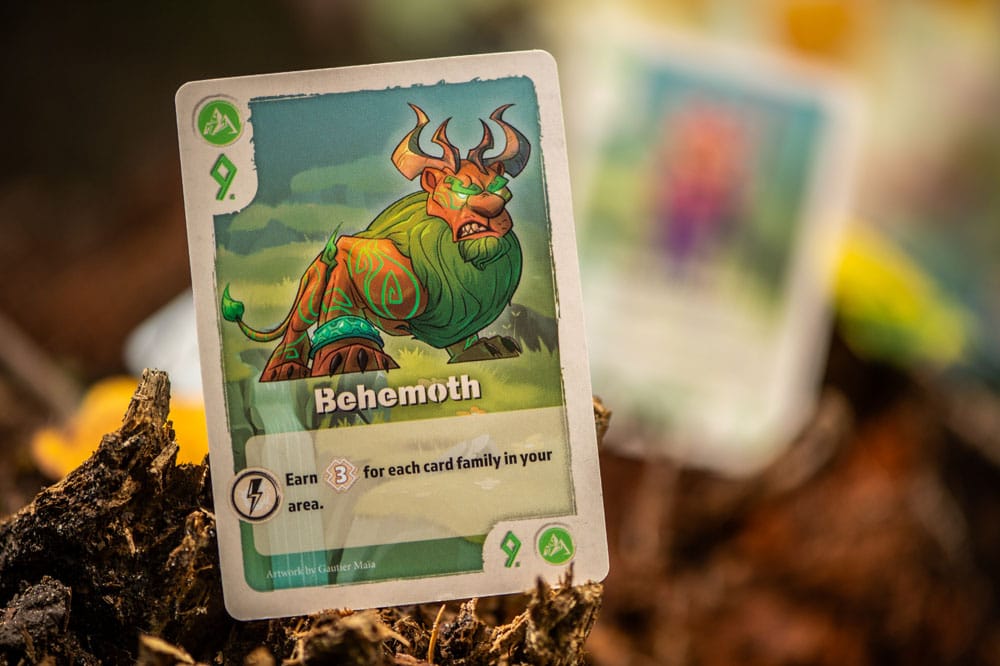 The Vale of Eternity Kartenspiel *Englische Version*