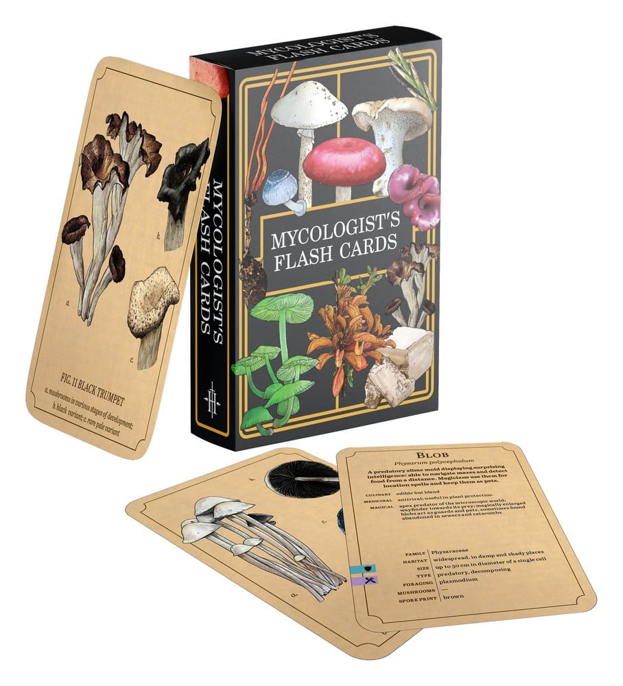 Renegade Originals: Mycologist's Primer Lernkarten *Englische Version*