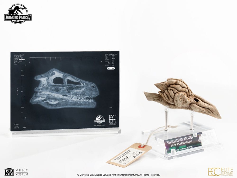 Jurassic Park III Prop Replik 1/1 Velociraptor Resonance Chamber 18 cm