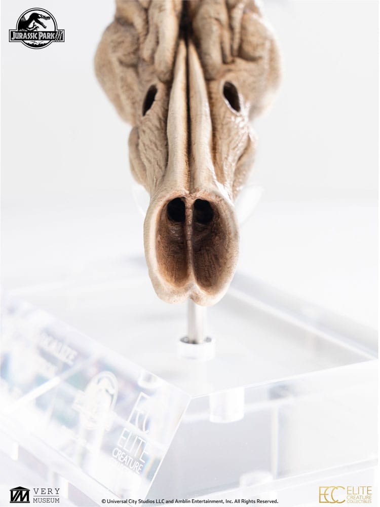 Jurassic Park III Prop Replik 1/1 Velociraptor Resonance Chamber 18 cm