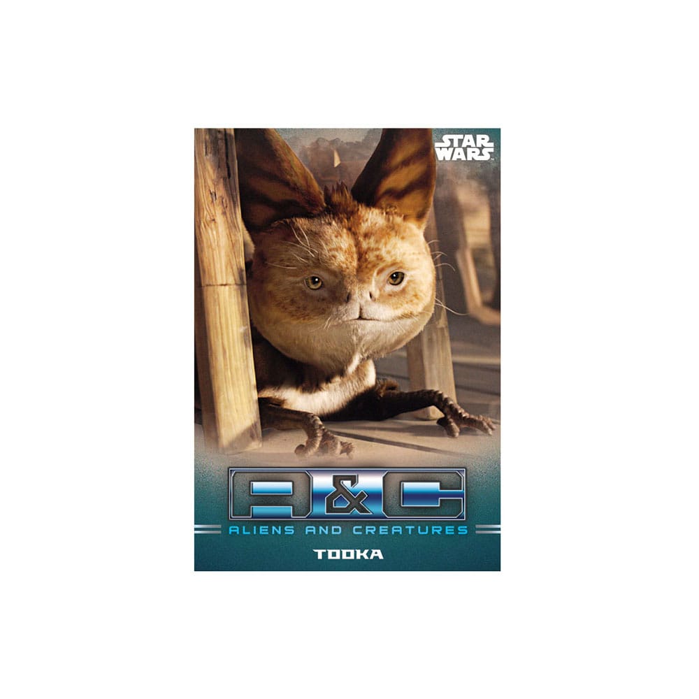 Star Wars: The Mandalorian Sammelkarten Starter Pack *Englische Version*