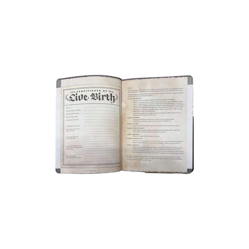 Notizbuch A5 Player's Journal