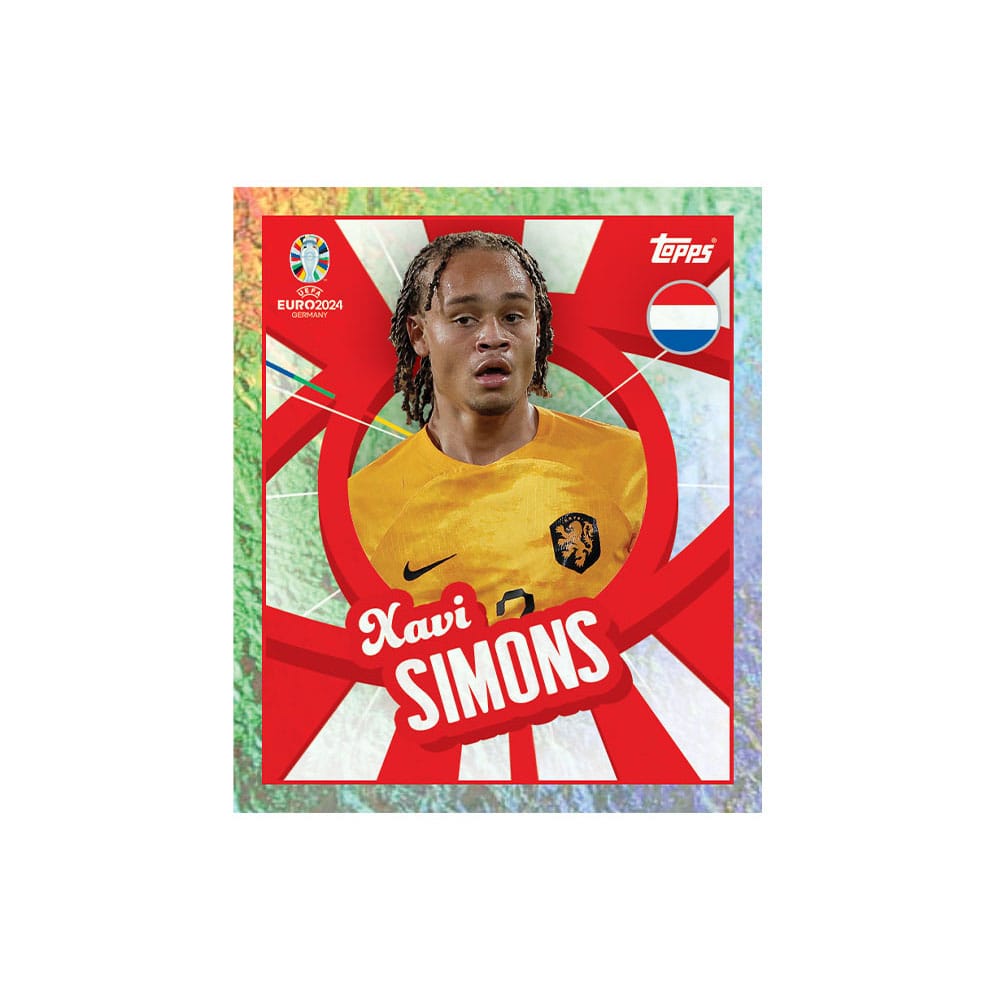 UEFA EURO 2024 Sticker Collection Display (100)