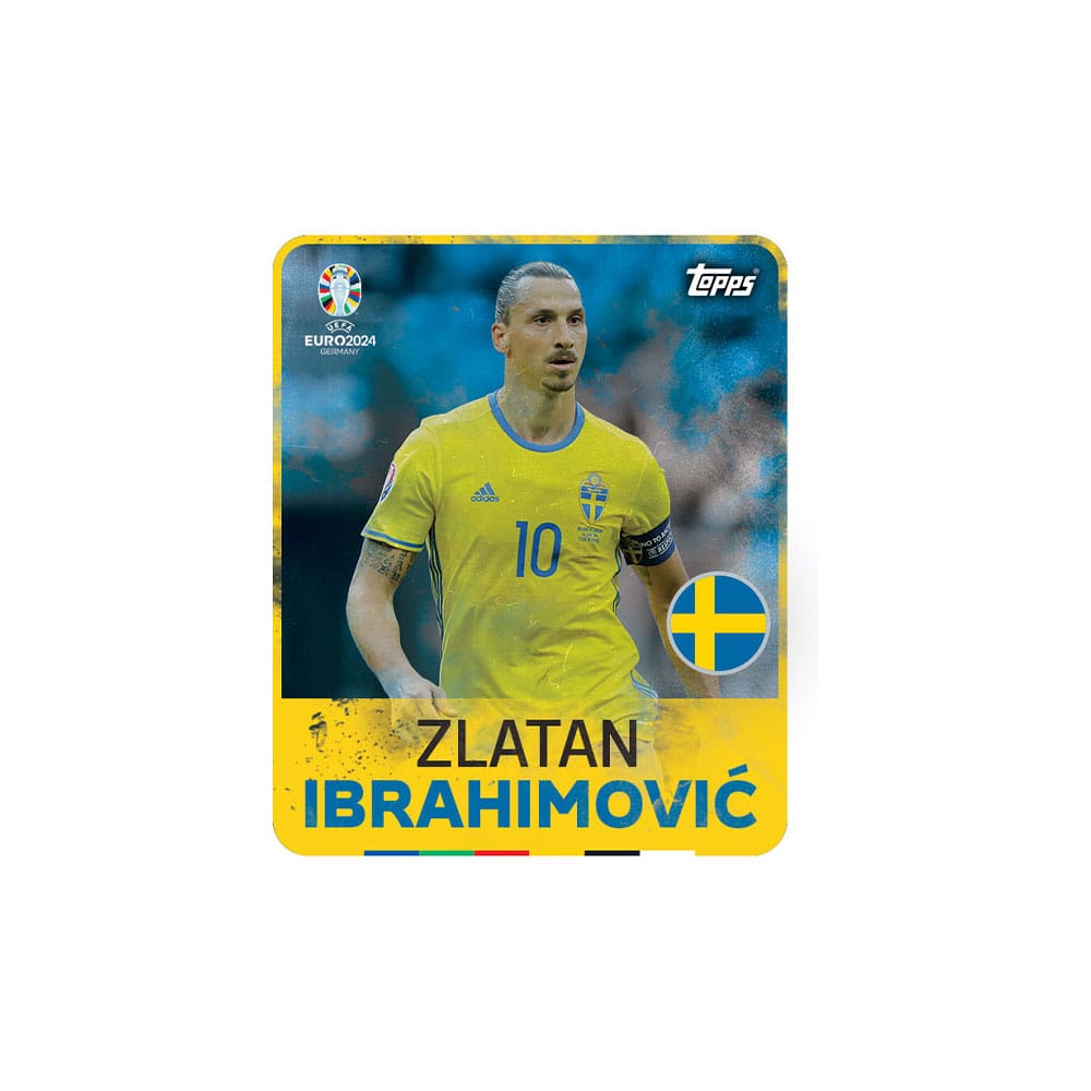 UEFA EURO 2024 Sticker Collection Display (100)
