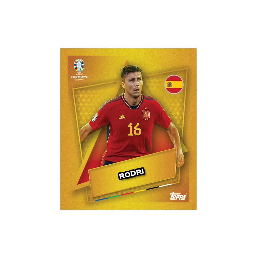 UEFA EURO 2024 Sticker Collection Display (100)