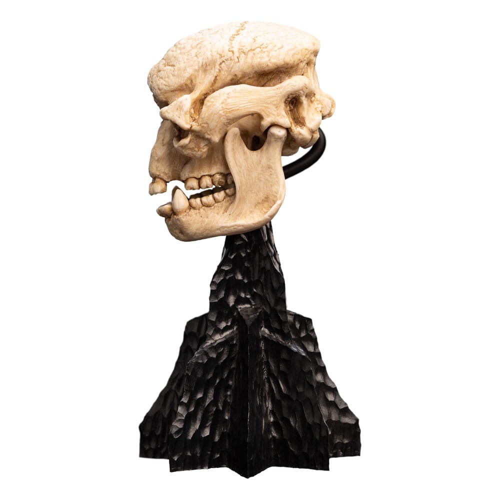 Herr der Ringe Mini Statue Skull of a Cave Troll 21 cm