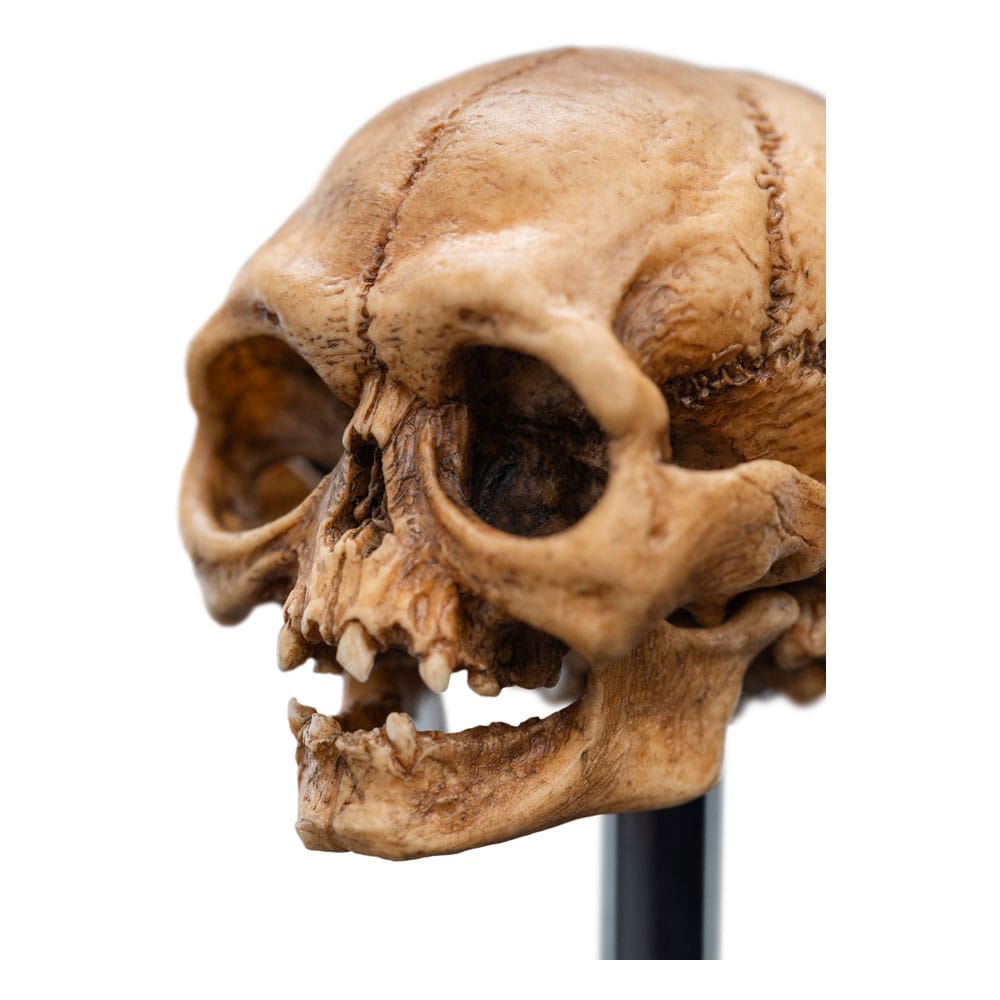 Herr der Ringe Mini Statue Skull of Gollum 13 cm