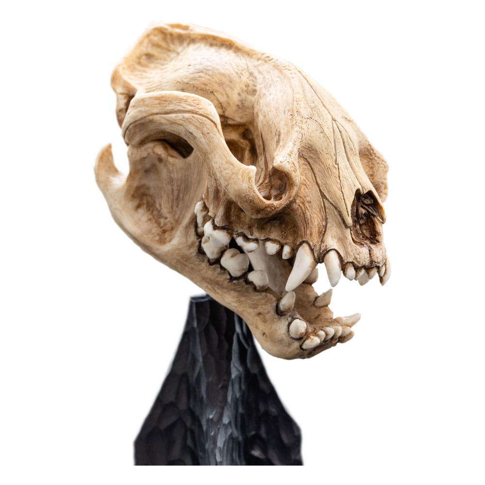 Herr der Ringe Mini Statue Skull of a Warg 20 cm
