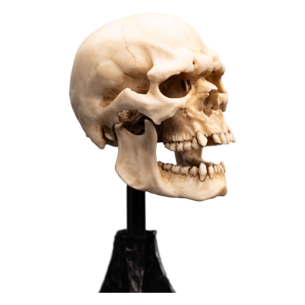 Herr der Ringe Mini Statue Skull of a Mordor Orc 14 cm
