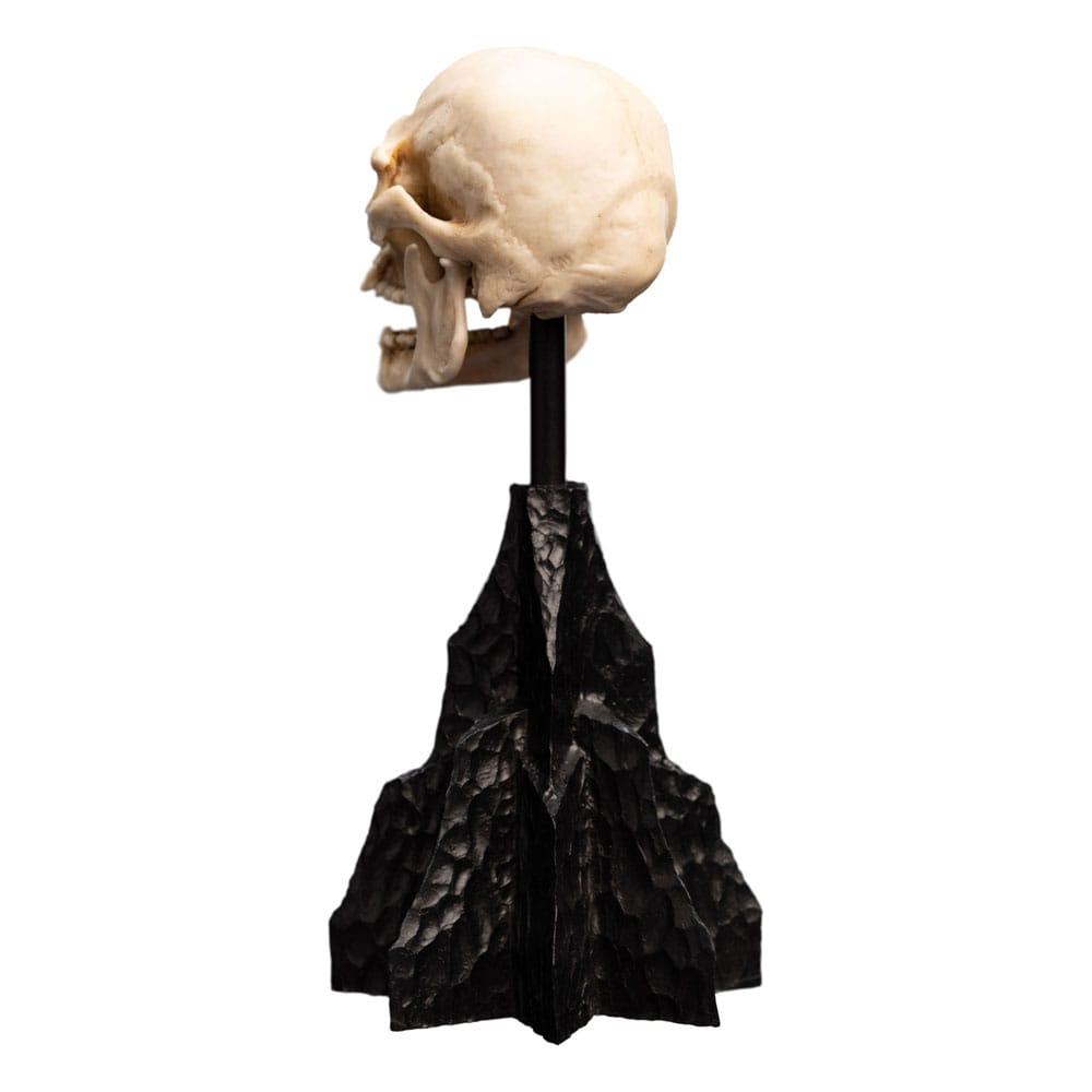 Herr der Ringe Mini Statue Skull of a Mordor Orc 14 cm