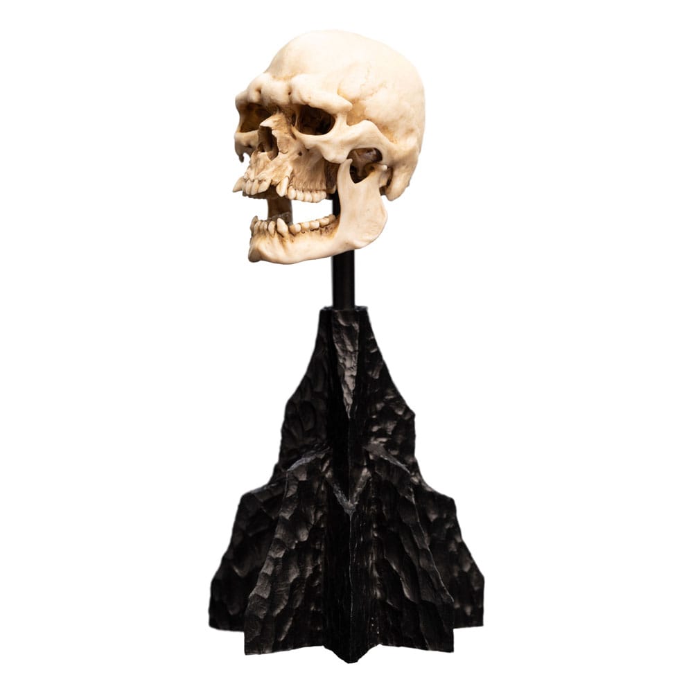 Herr der Ringe Mini Statue Skull of a Mordor Orc 14 cm