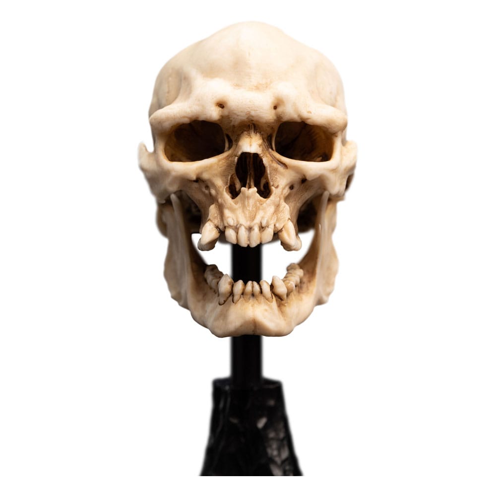 Herr der Ringe Mini Statue Skull of a Mordor Orc 14 cm