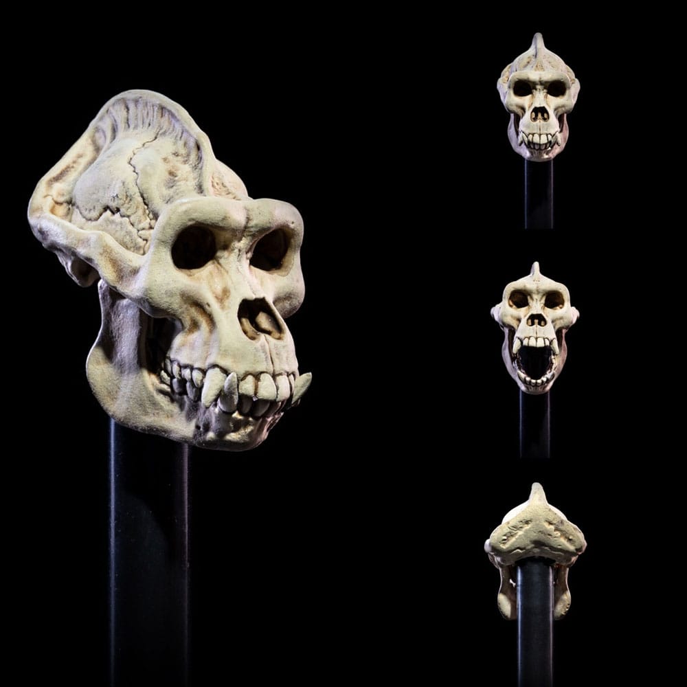 Mythic Legions: All Stars 6 Zubehör-Set für Actionfiguren Undead Heads Pack