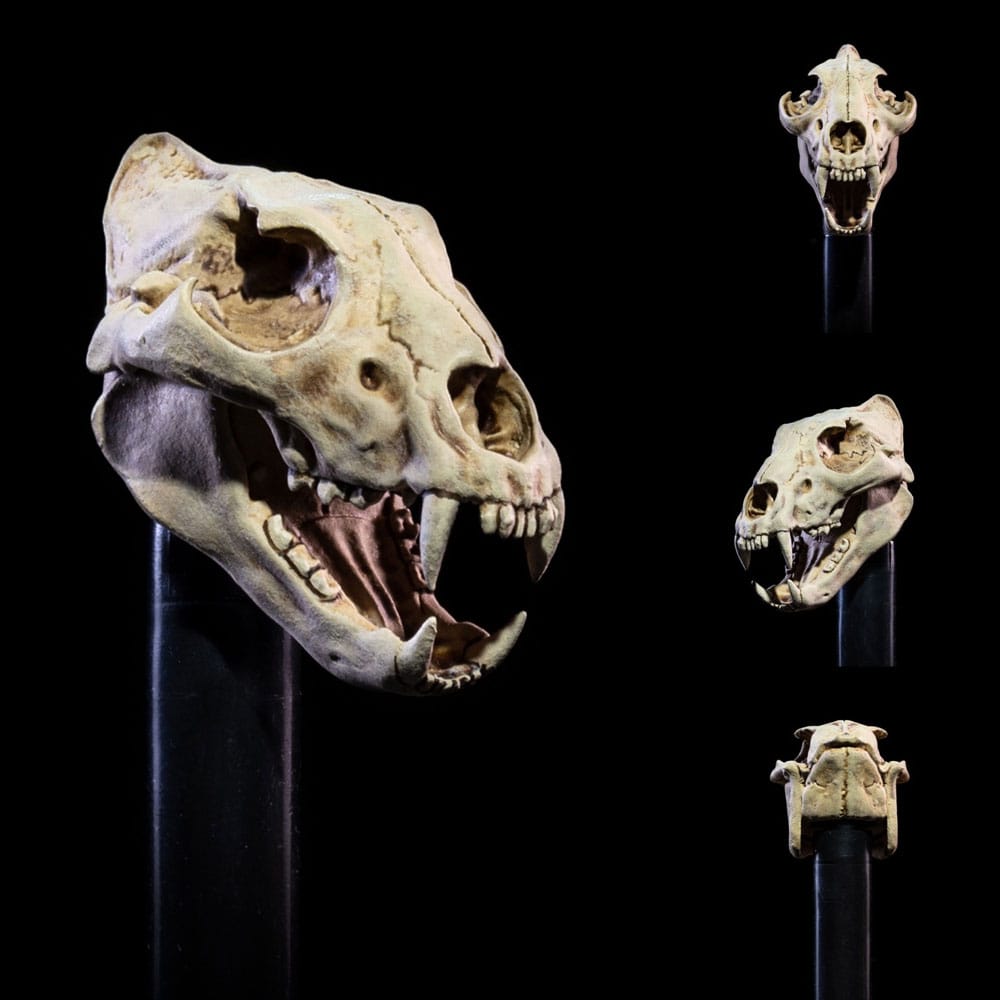 Mythic Legions: All Stars 6 Zubehör-Set für Actionfiguren Undead Heads Pack