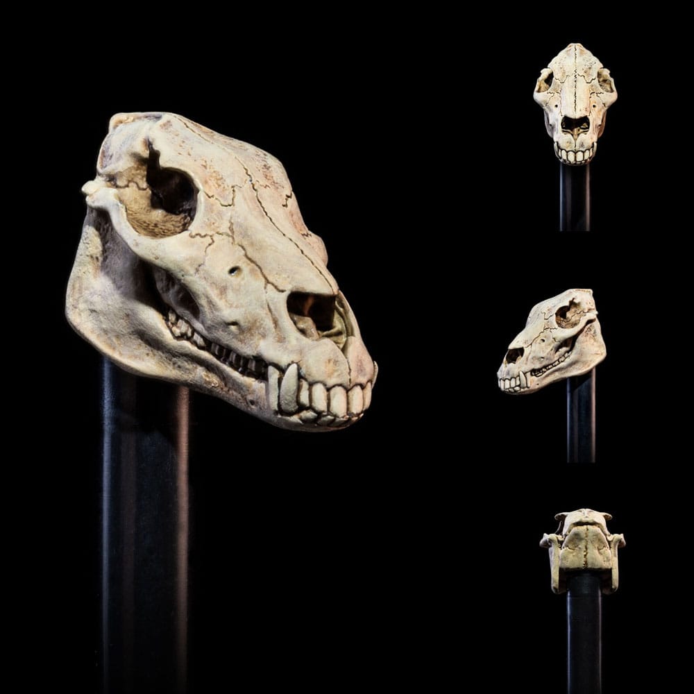 Mythic Legions: All Stars 6 Zubehör-Set für Actionfiguren Undead Heads Pack