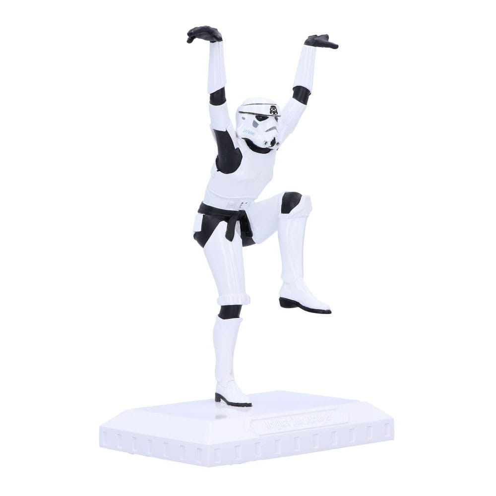 Original Stormtrooper Figur Crane Kick Stormtrooper 20 cm