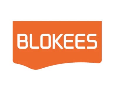 Transformers Blokees Plastic Model Classic Class 13 Elita  