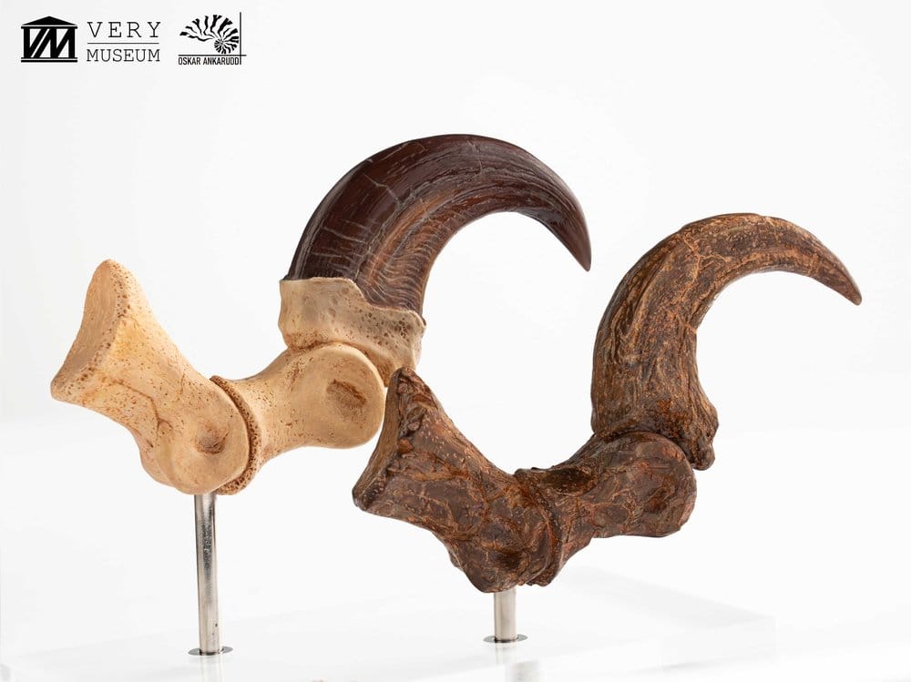 Jurassic Park ECC Elite Creature Line Statue Velociraptor Foot Claw and Fossil Claw Set 20 cm 