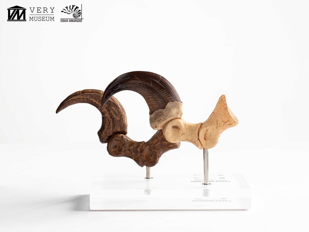 Jurassic Park ECC Elite Creature Line Statue Velociraptor Foot Claw and Fossil Claw Set 20 cm 