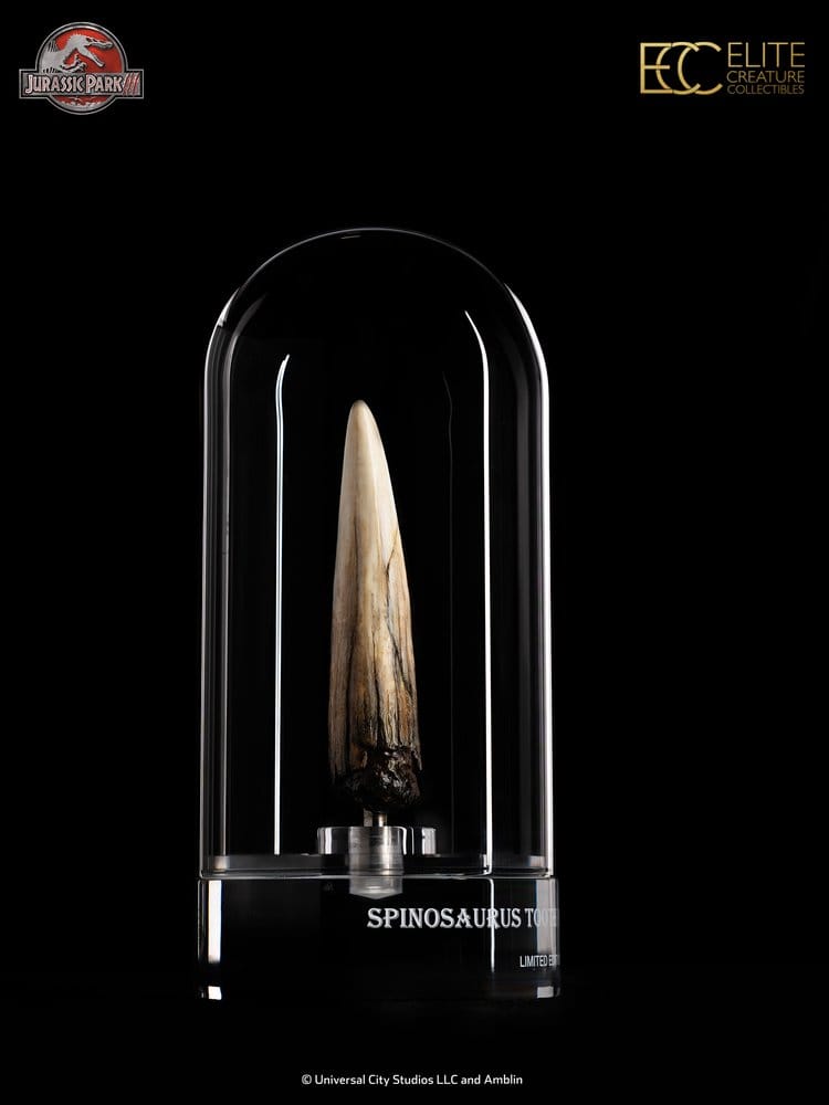 Jurassic Park III Prop Replik 1/1 Spinosaurus Zahn 14 cm