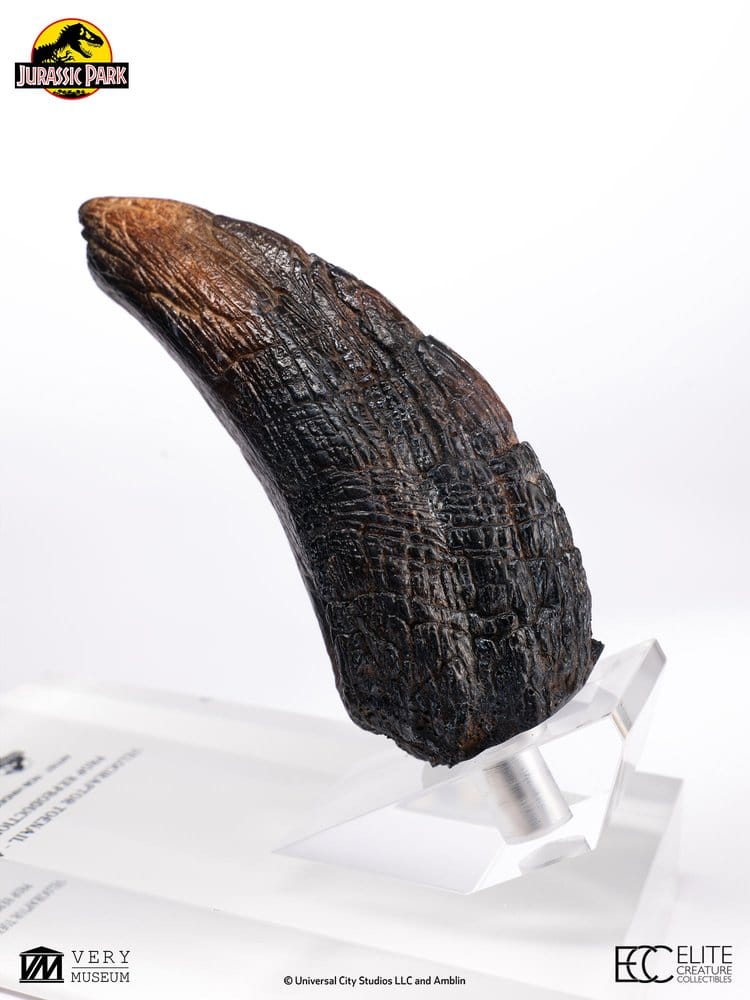 Jurassic Park 1/1 Replik Velociraptor Toenail Type A 11 cm