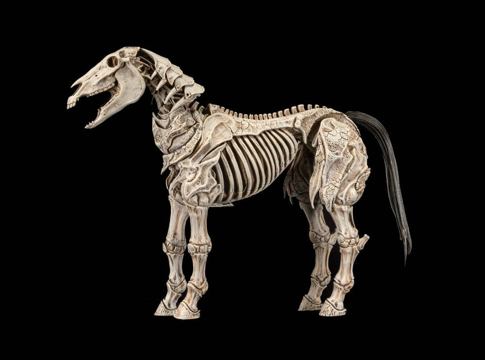 Mythic Legions: Reinforcement 3 Actionfigur Skeleton Steed Legion Builder