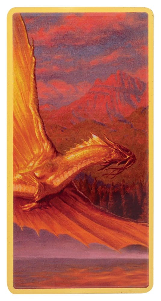 Dungeons & Dragons Magneten 5er-Set      